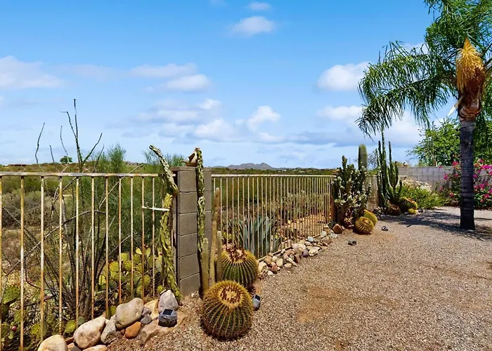 The Cw Desert Oasis